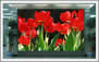 product image - SMD LED Indoor RGB full color LED screen-SMD LED Indoor RGB full color LED screen